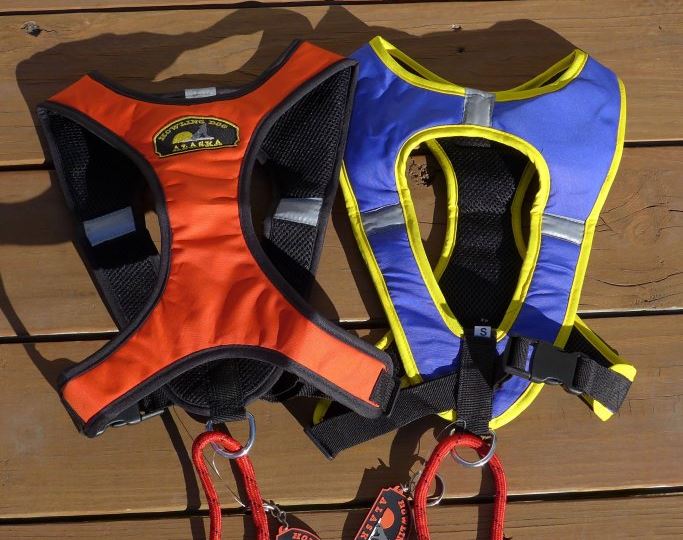 Tough Skin Dog Harness - Blue and Orange